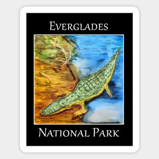 Crocodile in the brackish water of the Everglades in Florida Magnet